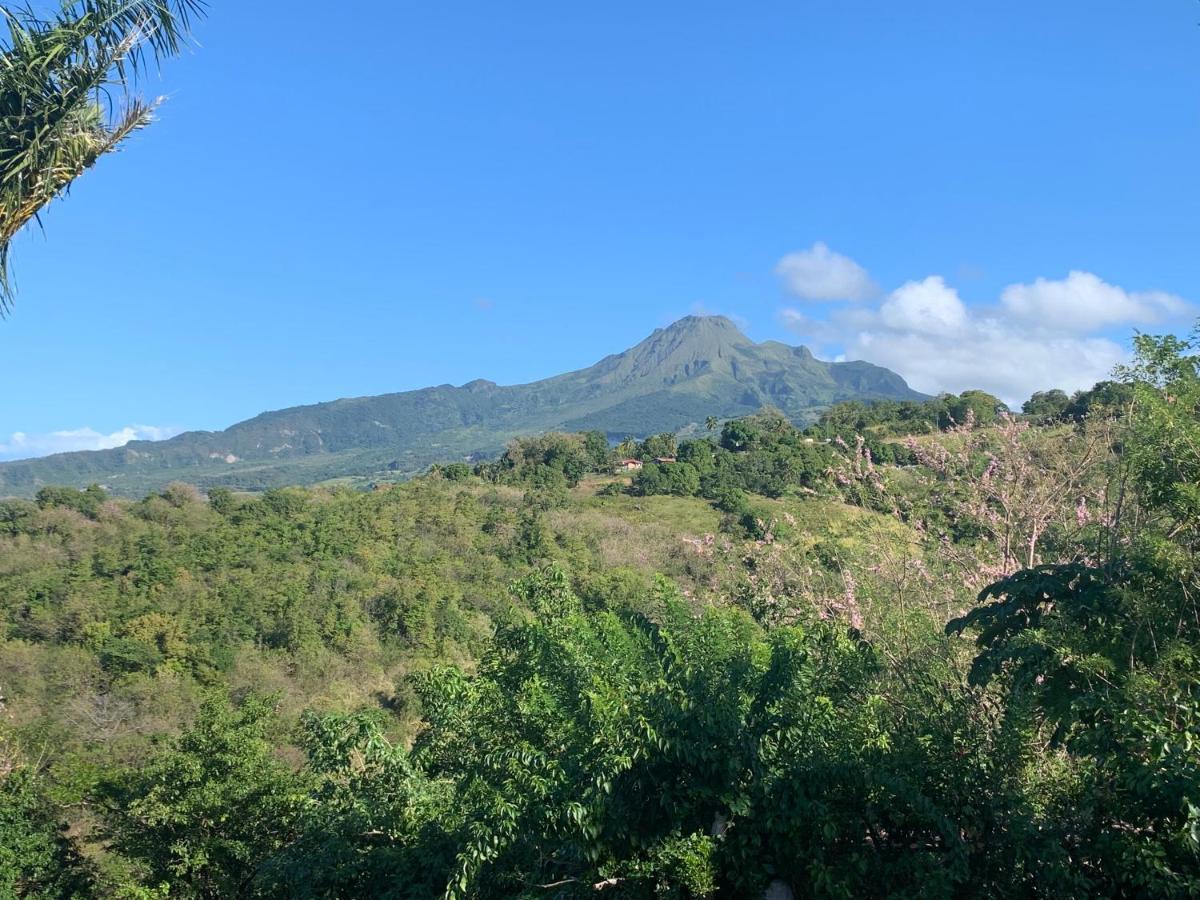Lodge Colibris Piscine Privee Vue Panoramique Mer Et Montagne Pelee , 500 M Plage Dans Un Parc , Calme Assure Ideal Pour Decouvrir Le Nord Caraibes لو كاربيت المظهر الخارجي الصورة