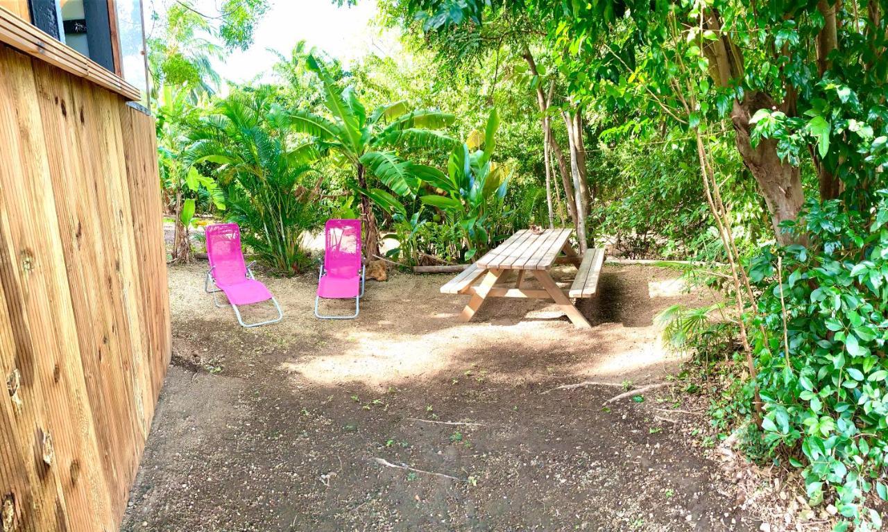 Lodge Colibris Piscine Privee Vue Panoramique Mer Et Montagne Pelee , 500 M Plage Dans Un Parc , Calme Assure Ideal Pour Decouvrir Le Nord Caraibes لو كاربيت المظهر الخارجي الصورة