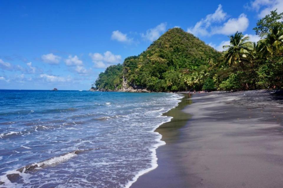 Lodge Colibris Piscine Privee Vue Panoramique Mer Et Montagne Pelee , 500 M Plage Dans Un Parc , Calme Assure Ideal Pour Decouvrir Le Nord Caraibes لو كاربيت المظهر الخارجي الصورة