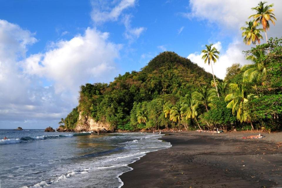 Lodge Colibris Piscine Privee Vue Panoramique Mer Et Montagne Pelee , 500 M Plage Dans Un Parc , Calme Assure Ideal Pour Decouvrir Le Nord Caraibes لو كاربيت المظهر الخارجي الصورة