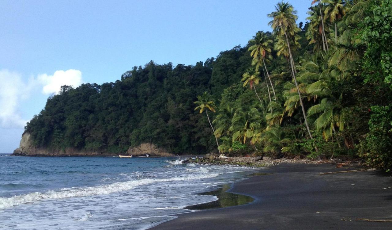 Lodge Colibris Piscine Privee Vue Panoramique Mer Et Montagne Pelee , 500 M Plage Dans Un Parc , Calme Assure Ideal Pour Decouvrir Le Nord Caraibes لو كاربيت المظهر الخارجي الصورة