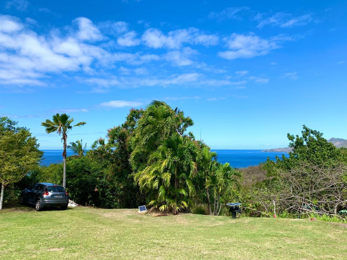 Lodge Colibris Piscine Privee Vue Panoramique Mer Et Montagne Pelee , 500 M Plage Dans Un Parc , Calme Assure Ideal Pour Decouvrir Le Nord Caraibes لو كاربيت المظهر الخارجي الصورة