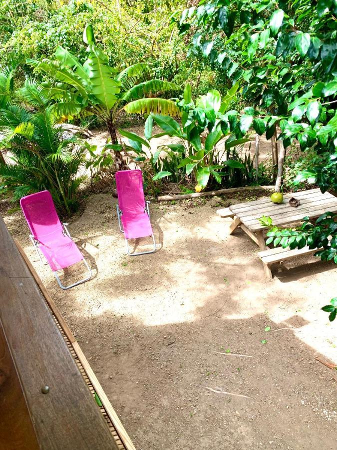 Lodge Colibris Piscine Privee Vue Panoramique Mer Et Montagne Pelee , 500 M Plage Dans Un Parc , Calme Assure Ideal Pour Decouvrir Le Nord Caraibes لو كاربيت المظهر الخارجي الصورة