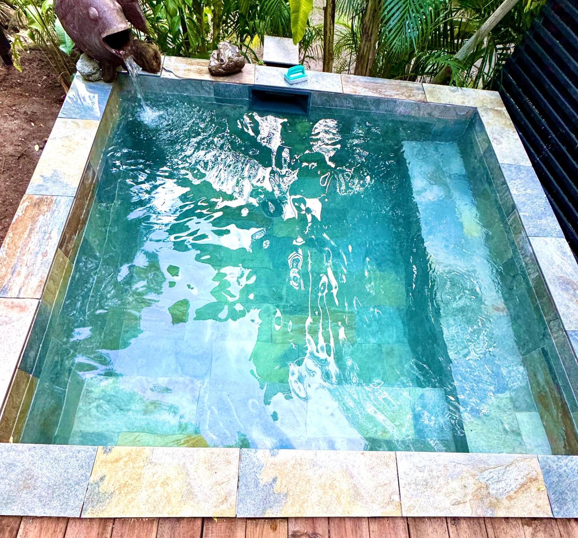 Lodge Colibris Piscine Privee Vue Panoramique Mer Et Montagne Pelee , 500 M Plage Dans Un Parc , Calme Assure Ideal Pour Decouvrir Le Nord Caraibes لو كاربيت المظهر الخارجي الصورة