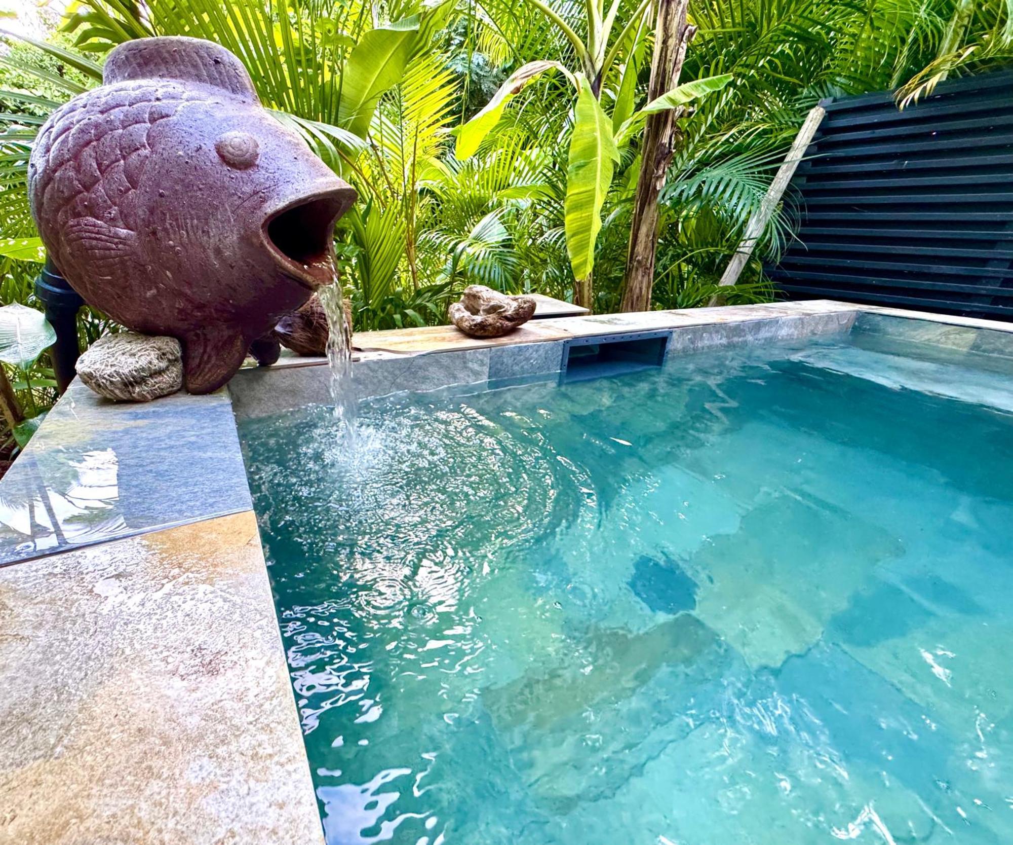Lodge Colibris Piscine Privee Vue Panoramique Mer Et Montagne Pelee , 500 M Plage Dans Un Parc , Calme Assure Ideal Pour Decouvrir Le Nord Caraibes لو كاربيت المظهر الخارجي الصورة