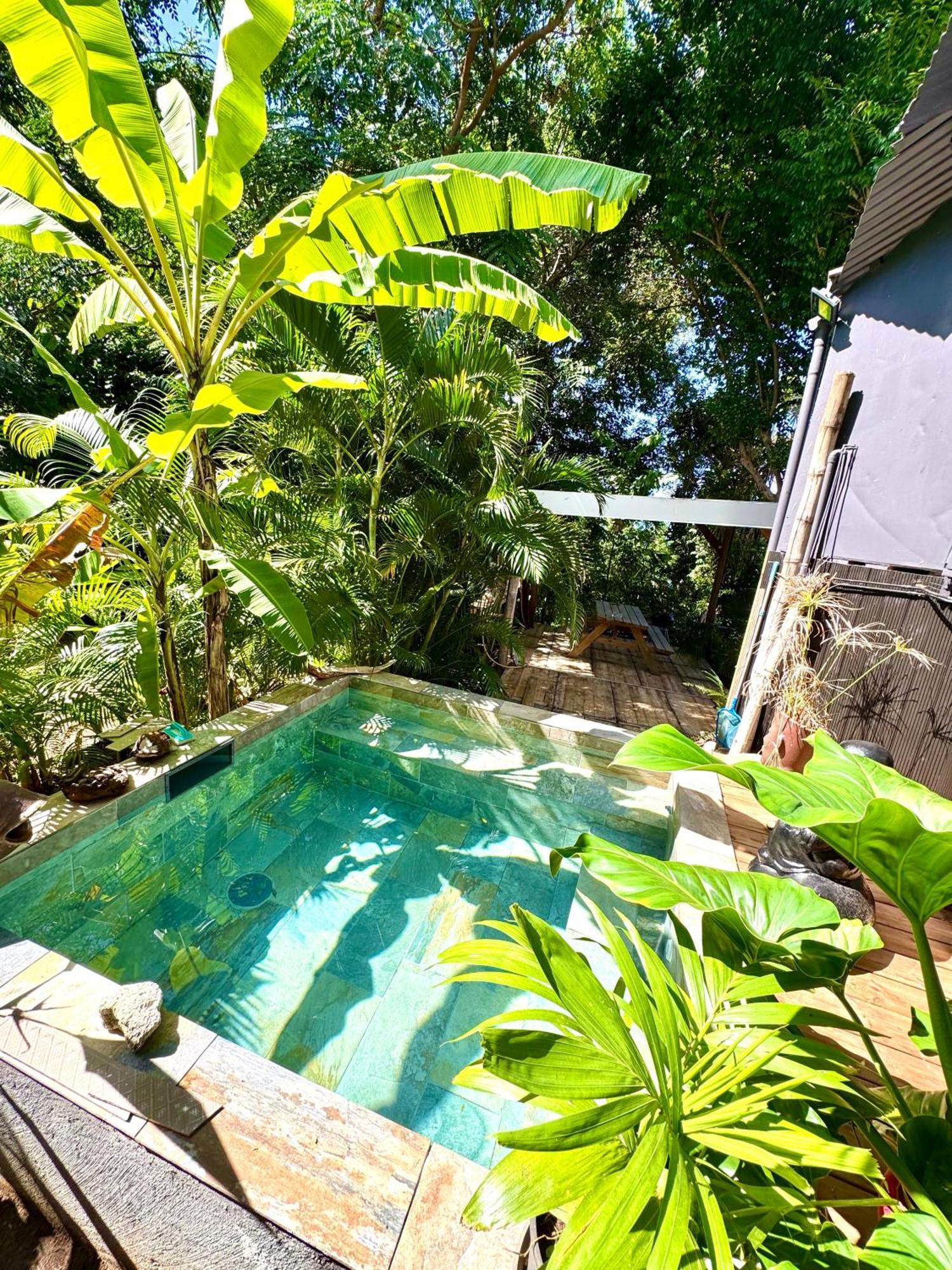 Lodge Colibris Piscine Privee Vue Panoramique Mer Et Montagne Pelee , 500 M Plage Dans Un Parc , Calme Assure Ideal Pour Decouvrir Le Nord Caraibes لو كاربيت المظهر الخارجي الصورة